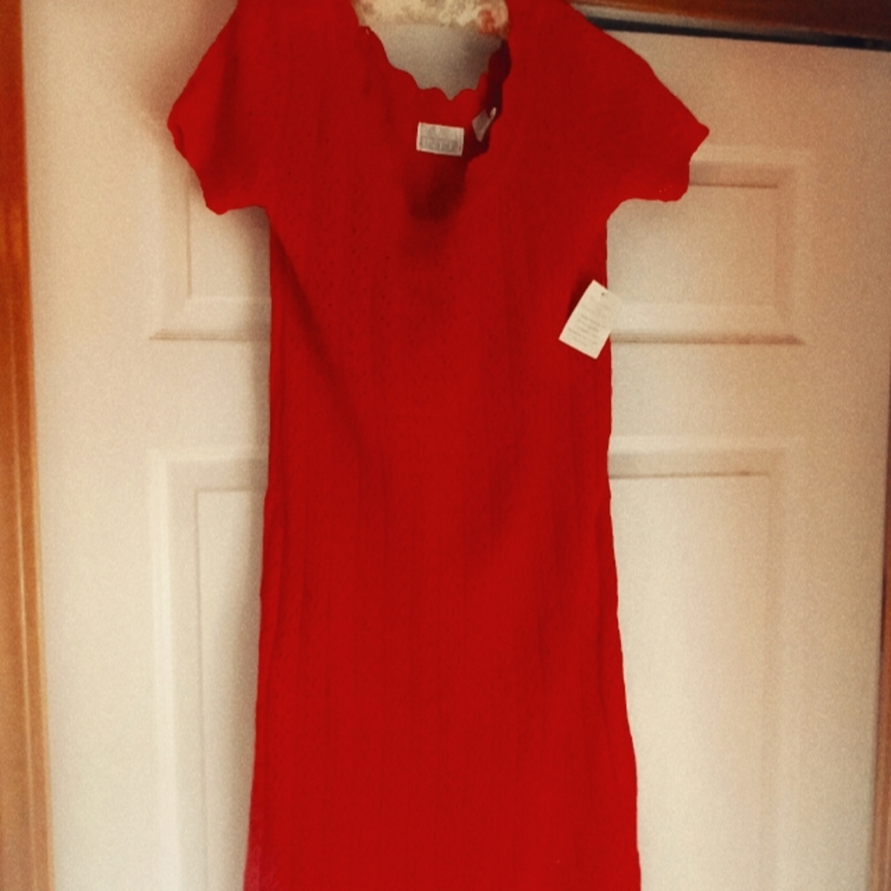 Red sweater dress
